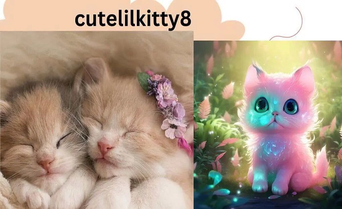 CuteLilKitty8